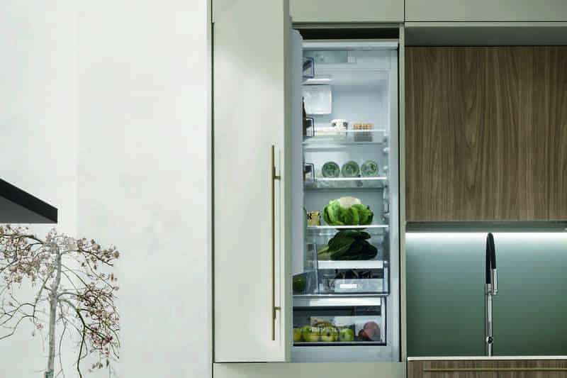 Open refrigerator with vegetables inside