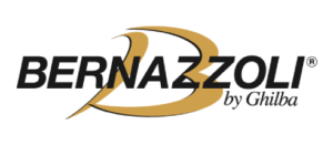 logo berzzoli